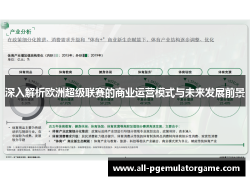 深入解析欧洲超级联赛的商业运营模式与未来发展前景